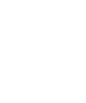 AirlegalStuffIcon