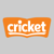 cricket_logo